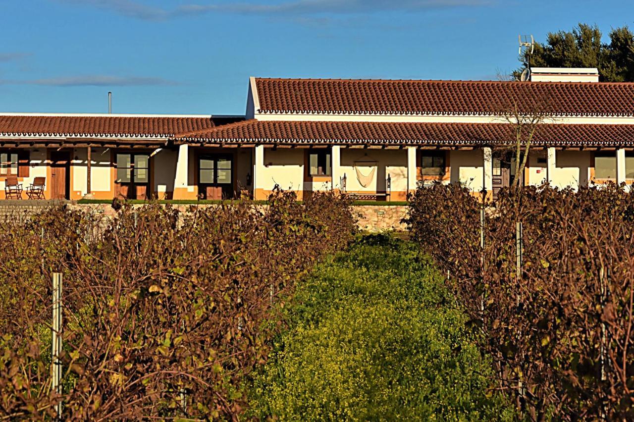Turismo Rural Pedremoura Pensionat Vila Ruiva  Exteriör bild