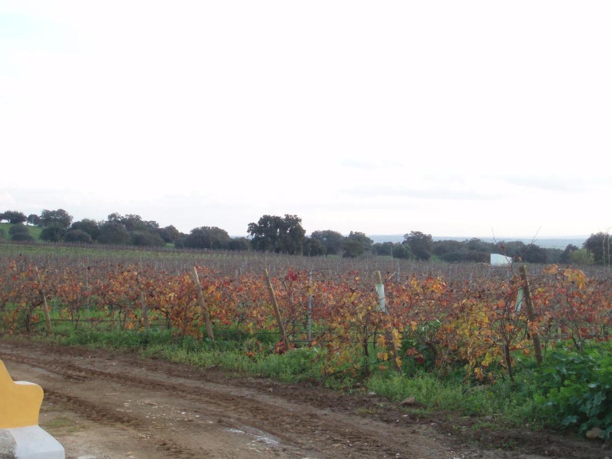 Turismo Rural Pedremoura Pensionat Vila Ruiva  Exteriör bild